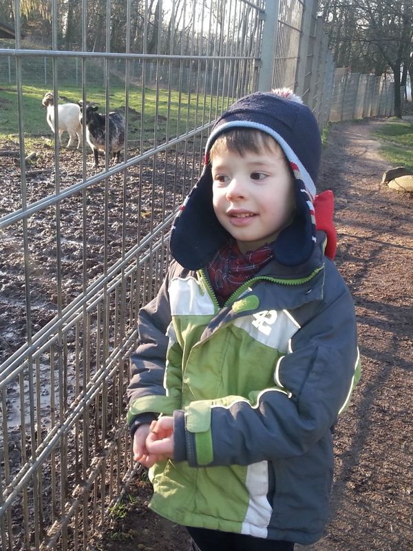 Foto von Joshua