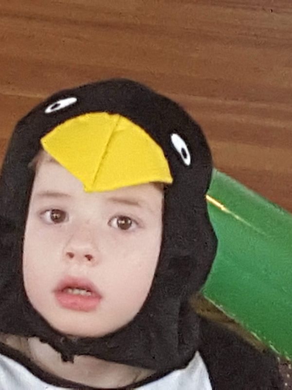 Foto von Joshua