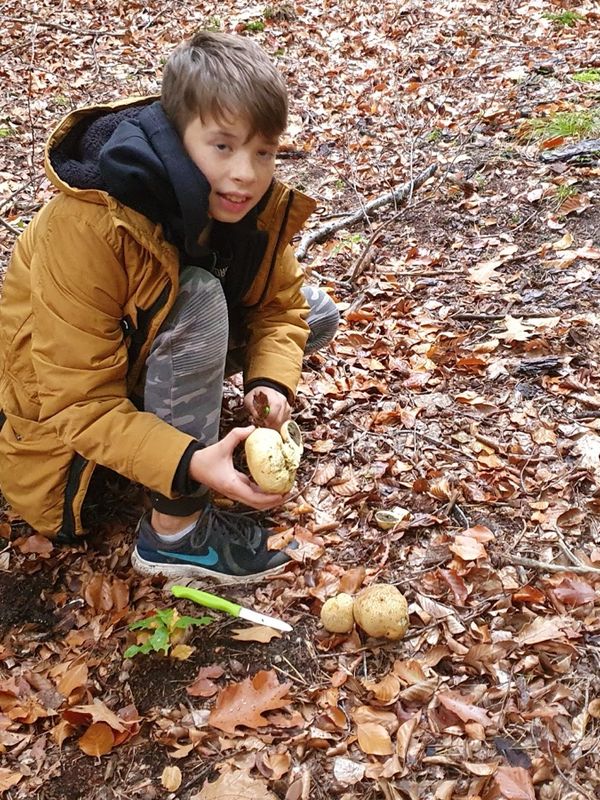 Foto von Joshua